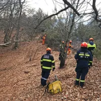 Pogasili so ga tudi brez leteče cisterne