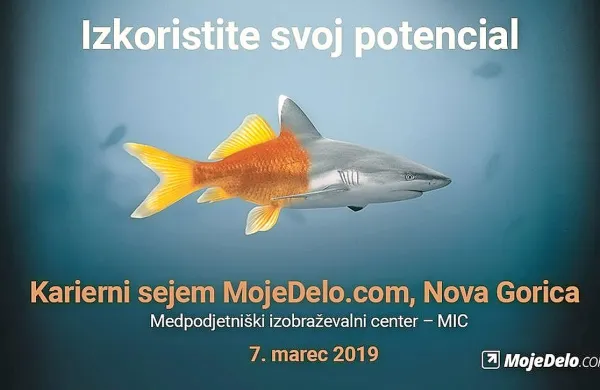 Ste zaspali za volanom svoje kariere?