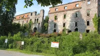  

Razvaline poznobaročnega dvorca Haasberg iz 18. stoletja, ki stoji v ostankih terasastega vrta, so zdaj 
zaraščene in obdane z zarjavelo železno ograjo. 



