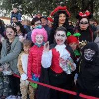Od Tomosa do smučarskih skakalcev