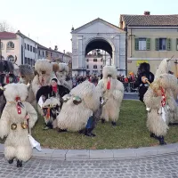 Od Tomosa do smučarskih skakalcev