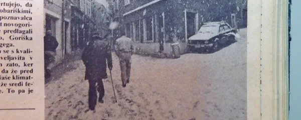 Sneg je konec februarja 1982 v Istri povzročil dve uri cestnih 
zagat.