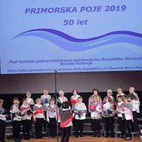 Pesem ne tekmuje, povezuje