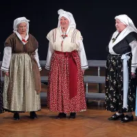 Pesem ne tekmuje, povezuje