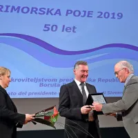 Pesem ne tekmuje, povezuje