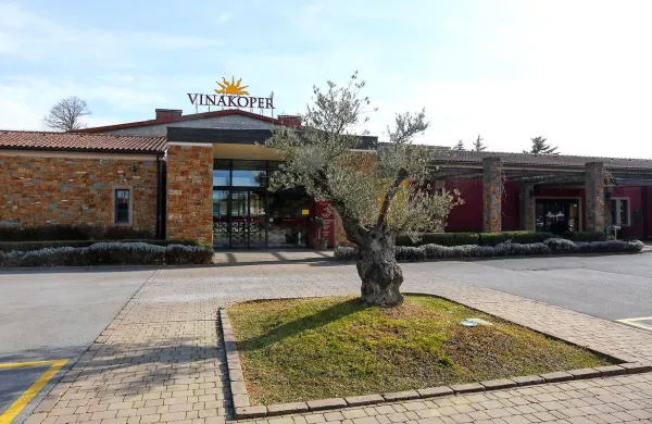  Adriafin je pomemben zlasti zato, ker ima družba v lasti 77,7 
odstotka Vinakopra.