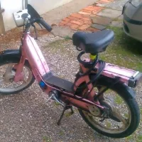 Storilca so policisti  prepoznali po vpadljivem rožnatem kolesu z 
motorjem.
