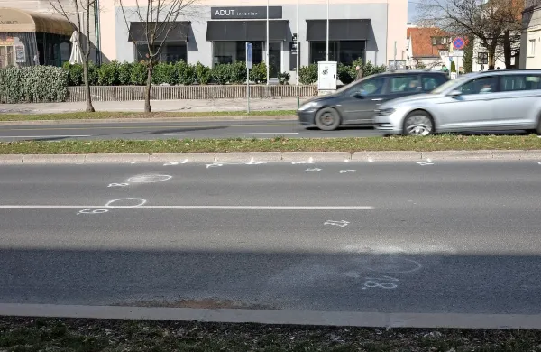 Preiskovalni sodnik je v soboto odredil pripor zoper 33-letnika, ki 
je v noči s četrtka na petek na Dunajski cesti v Ljubljani povzročil 
tragično prometno nesrečo.