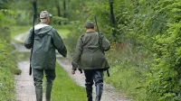 Če bi država odobrila odstrel šakalov in morda tudi volkov, bi te 
zveri pokončale manj srn in jelenov, menijo lovci. 