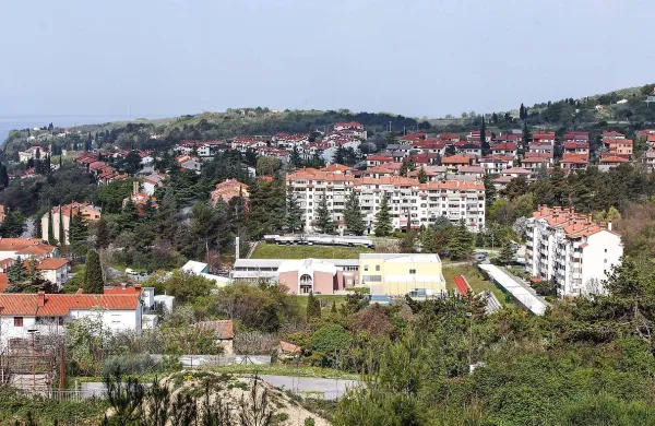 Odbori v novi zasedbi