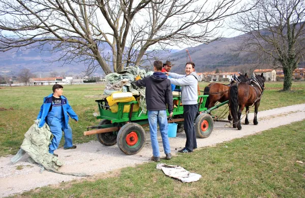 Vedno bolje, a dela &scaron;e ne bo zmanjkalo