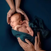 Polona Krevatin, iz cikla Pomlad, 2019