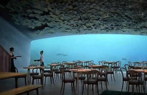 Restavracija ponuja pogled na morsko življenje.