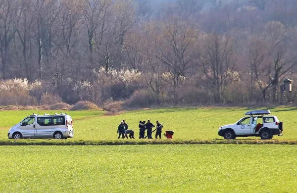 Zmajar zadel električni daljnovod