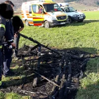 Zmajar zadel električni daljnovod