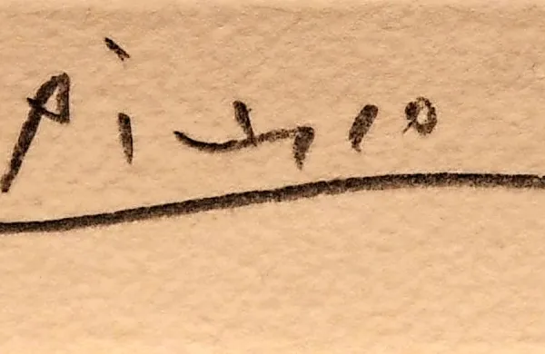 Indiana Jones sveta umetnosti odkril pred 20 leti ukradeno Picassovo sliko