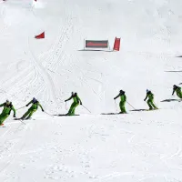 Kline je premagal Flisarja