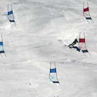 Kline je premagal Flisarja