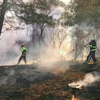 Več kot 40 gasilcev se je borilo z letos največjim požarom na Primorskem