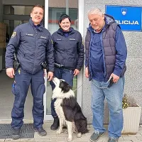 Re&scaron;ili psa in srni