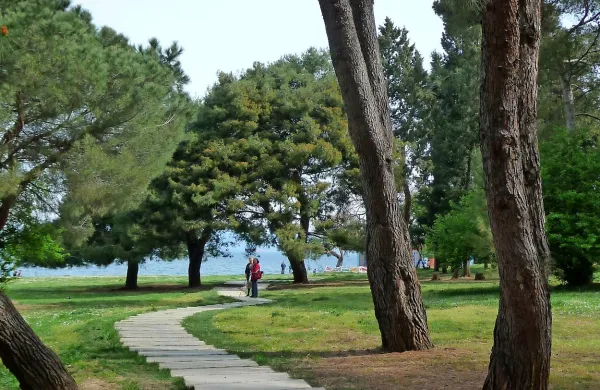Vse krajine &scaron;tejejo, drevesa pa so del krajine