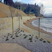 Na Debelem rtiču so posadili 350 mladih dreves