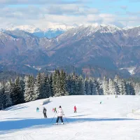 Leto&scaron;nja Naj smuči&scaron;ča so Cerkno, Golte in RTC Jakec Trije kralji