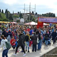 500 Kapkovih tekačev odprlo Istrski maraton
