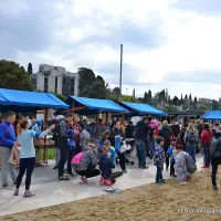 500 Kapkovih tekačev odprlo Istrski maraton