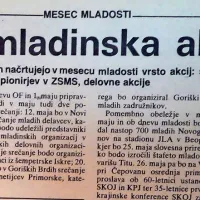 Mladinci v severnoprimorskih občinah so v maju, mesecu mladosti,  načrtovali pestro paleto aktivnosti, tudi delovne akcije. 