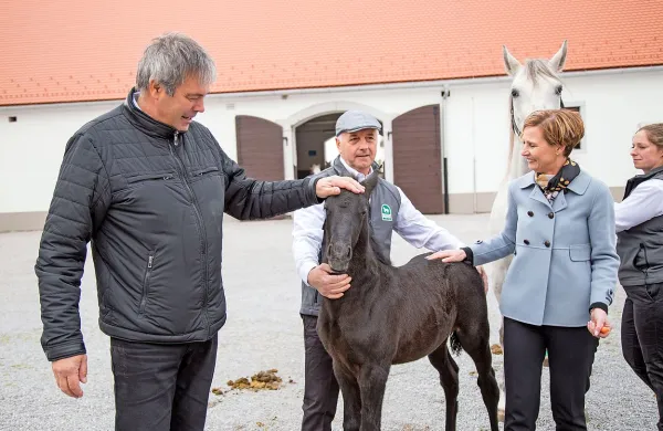 Župan &Scaron;kabar boter žrebička Conversana