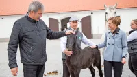Župan &Scaron;kabar boter žrebička Conversana