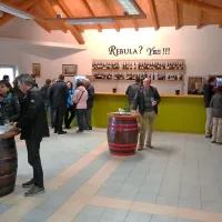 Tudi na prazniku rebule in oljčnega olja &ldquo;kraljevo&rdquo; vzdu&scaron;je
