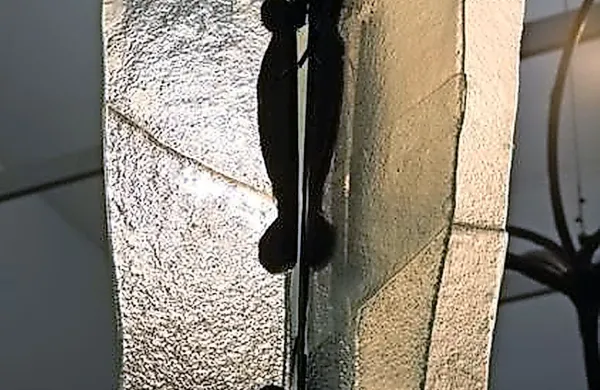Pregledna razstava skulptur Gail C. Morris v Piranu