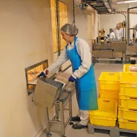 Prihodnje leto v Pivkinem obratu morda že sto zaposlenih