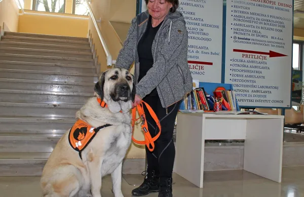 Zdenka Peloz pravi, da lahko terapevtski pes  pomaga ljudem, ki 
jih je strah psov, ki so tesnobni ali depresivni.