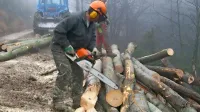 

Odpravljanje posledic ujme septembra leta 2014 na Tolminskem je 
bilo usodno za 38-letnega gozdarja (fotografija je simbolična).