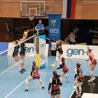 Sosedska pomoč
