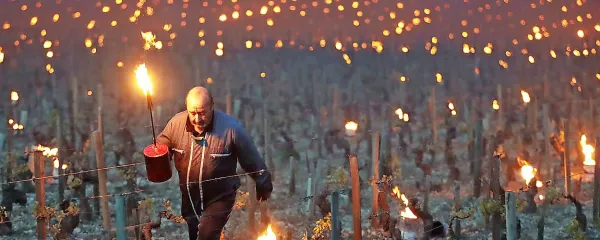 Burgundijo so v začetku tedna osvetlili &scaron;tevilni ognji