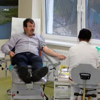 Kri je dala vsa družina