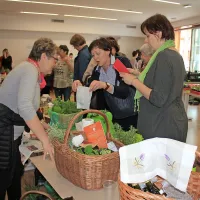 V Ajdov&scaron;čini Velika zelemenjava z bogato ponudbo