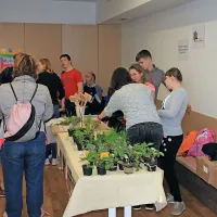 V Ajdov&scaron;čini Velika zelemenjava z bogato ponudbo