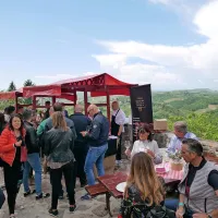 &Scaron;martno v znamenju vina in kulinarike