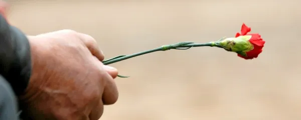 Naj ob dnevu zmage zmaga pamet