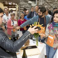 Festivala, kakr&scaron;nih si gostje očitno želijo