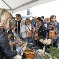 Festivala, kakr&scaron;nih si gostje očitno želijo