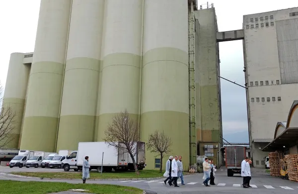 Ajdovska družba Mlinotest je lani ustvarila 55,9 milijona evrov 
prihodkov, kar je devet odstotkov več kot predlani. 