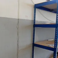 Korenine so to  pomlad steno premaknile še za dodatni poldrugi 
centimeter.