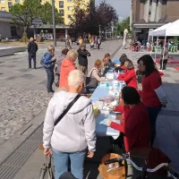 Na trgu podarjajo utrip