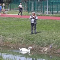 Tata se je rekreiral v kanalu, mama pa je v gnezdu čuvala mladiče